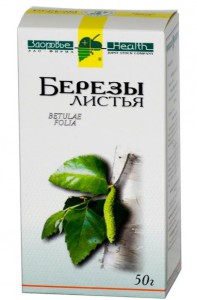 листья и почки березы