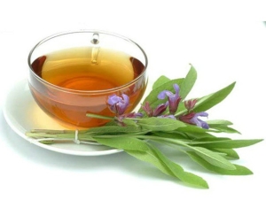 Применение шалфея