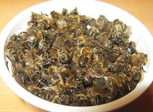 лечение мертвыми пчелами сахарного диабета