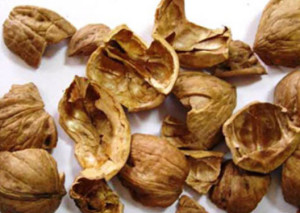 скорлупа грецкого ореха