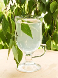 березовый сок