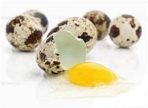 лечение перепелиными яйцами