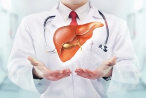 Как восстанавливается печень