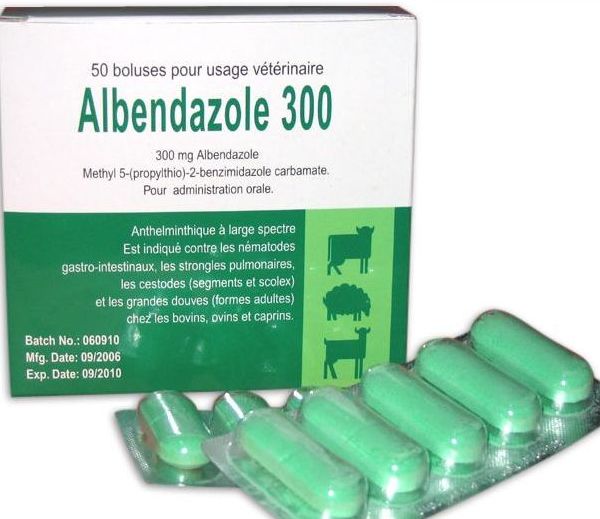 Альбендазол для избавления от паразитов 