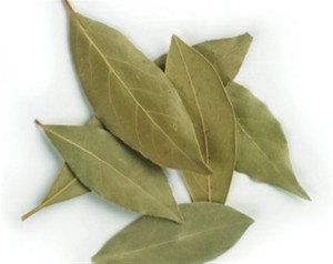 лечение гайморита лавровым листом