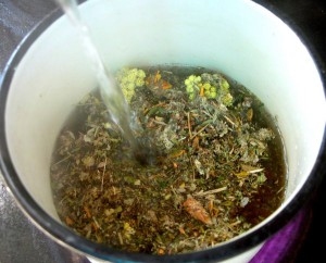 лечение травами дома