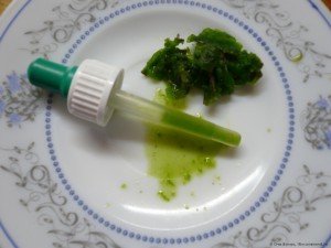 сок каланхоэ