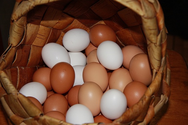 Куриные яйца от панкреатита 