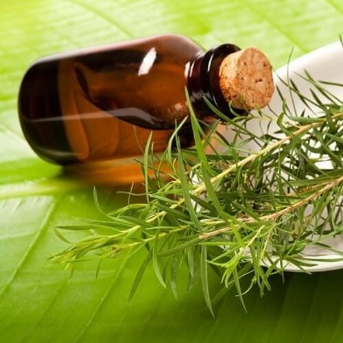 Масло чайного дерева от расслоения ногтей 