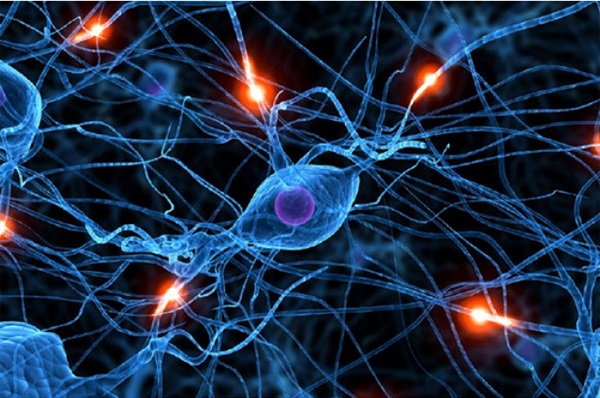 Нейроциркуляторная дистония