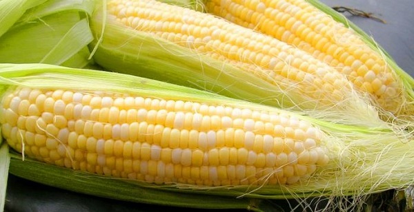 Показания к применению кукурузных рыльцев