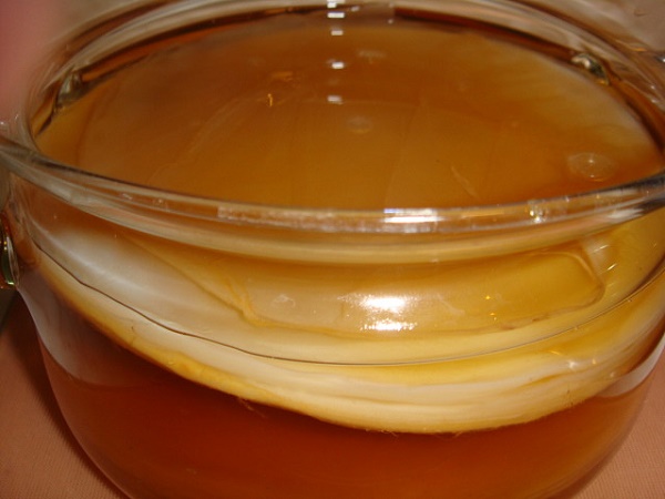 Приготовление чайной медузы в домашних условиях