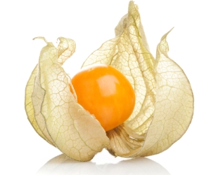 Использование плодов физалиса