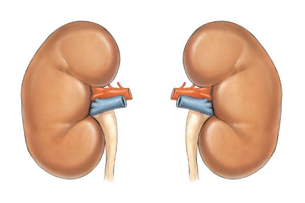 Виды пиелонефрита хронического характера