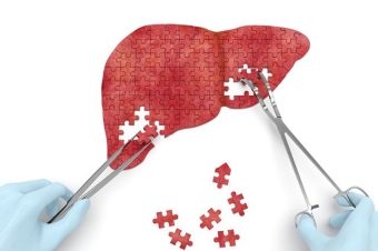 Народные средства и продукты для восстановления печени