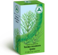 хвощ полевой