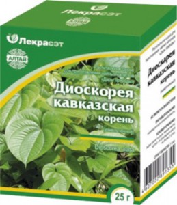 Корни диоскореи кавказской