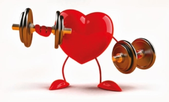 Укрепление сердечной мышцы народными средствами
