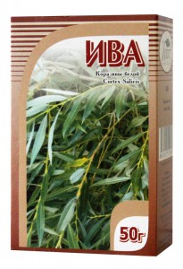 кора ивы