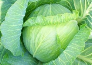 Средства от шишек после уколов