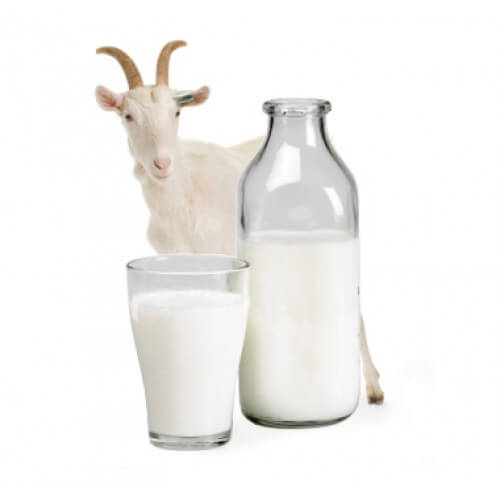 Козье молоко при близорукости