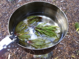 Средства от гангрены для принятия внутрь