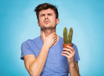 Чем лечить боль в горле при глотании