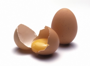 Яйцо от белых точек