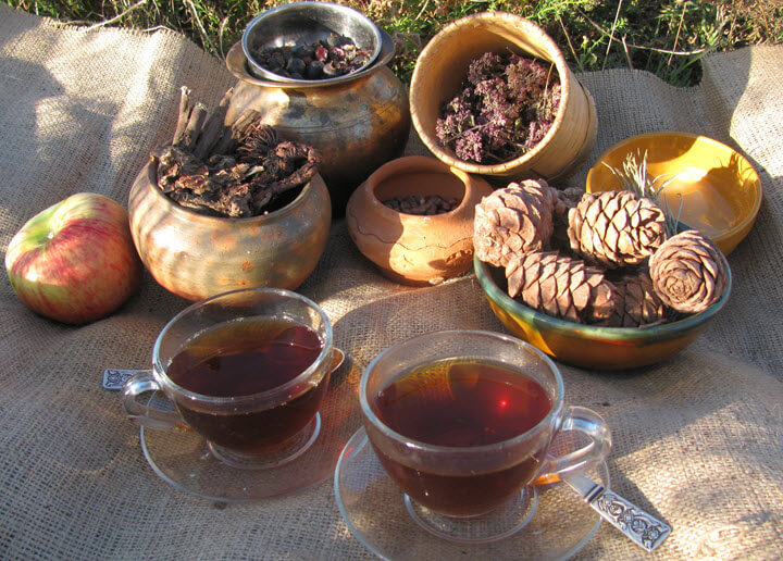 Бадан и его свойства и польза чая