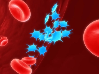 Как повысить тромбоциты в крови в домашних условиях быстро