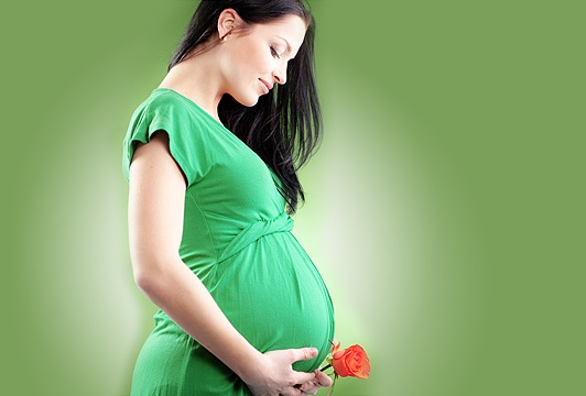 Лечение подорожником не наносит вреда беременным и плоду
