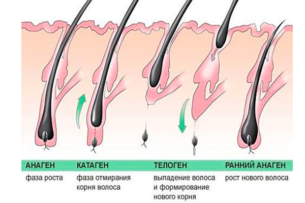 Основные причины низкой активности фолликул