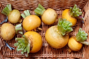 Кожура репы для лечения