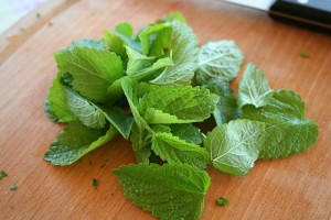 листья мяты