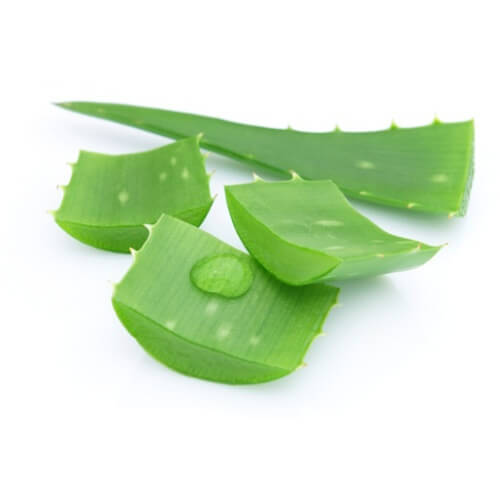 Сок листков алоэ от ожогов