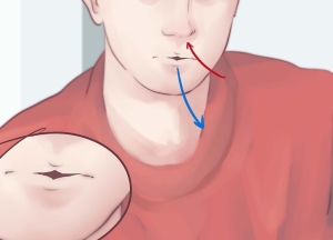 Начало проведения гимнастики