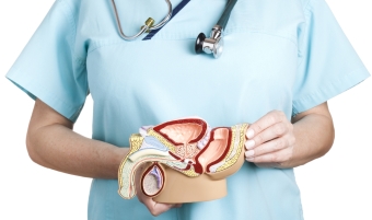 Лечение предстательной железы народными средствами