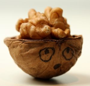 Грецкие орехи для сосудов головного мозга