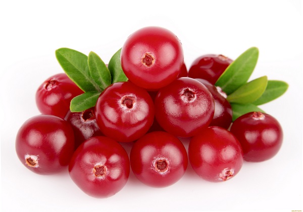 Брусника ягоды полезные свойства и противопоказания
