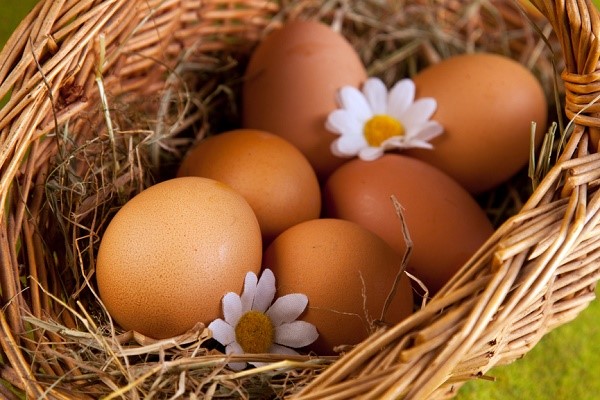 Мыло и яйца от кисты яичников 