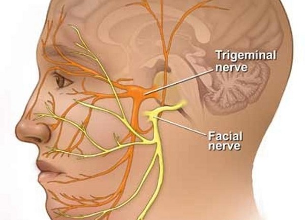 Воспаление тройничного нерва признаки 