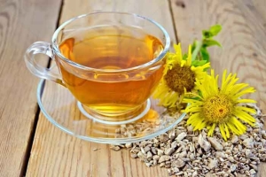 Отвар девясила